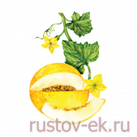 PROFFSYRUP Сироп Дыня Желтая - Кофейная компания Рустов-Екатеринбург